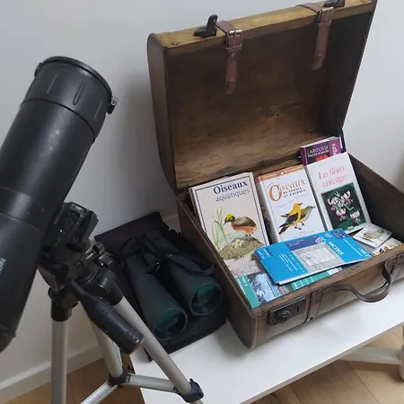 Maisonnette Renovee A 700M Des Bords De Loire * Montrelais