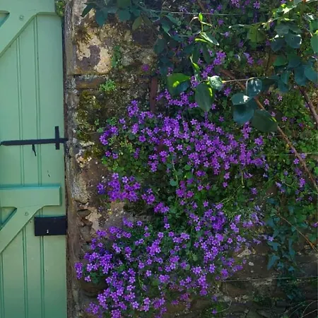 Maisonnette Renovee A 700M Des Bords De Loire Prázdninový dům *