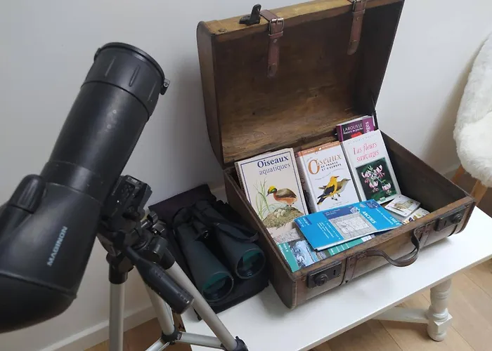 Maisonnette Renovee A 700M Des Bords De Loire * Montrelais