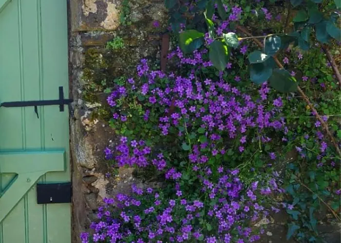 Maisonnette Renovee A 700m Des Bords De Loire Holiday home *